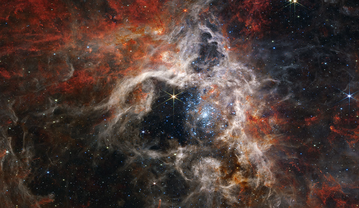 The tarantula nebula as captured by the James Webb Space Telescope (JWST)
